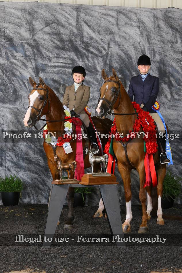 Proof 18YN_18952