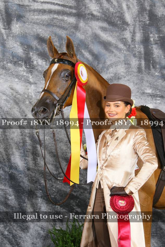 Proof 18YN_18994