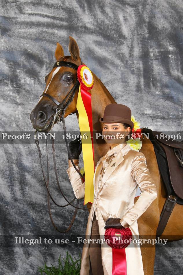 Proof 18YN_18996