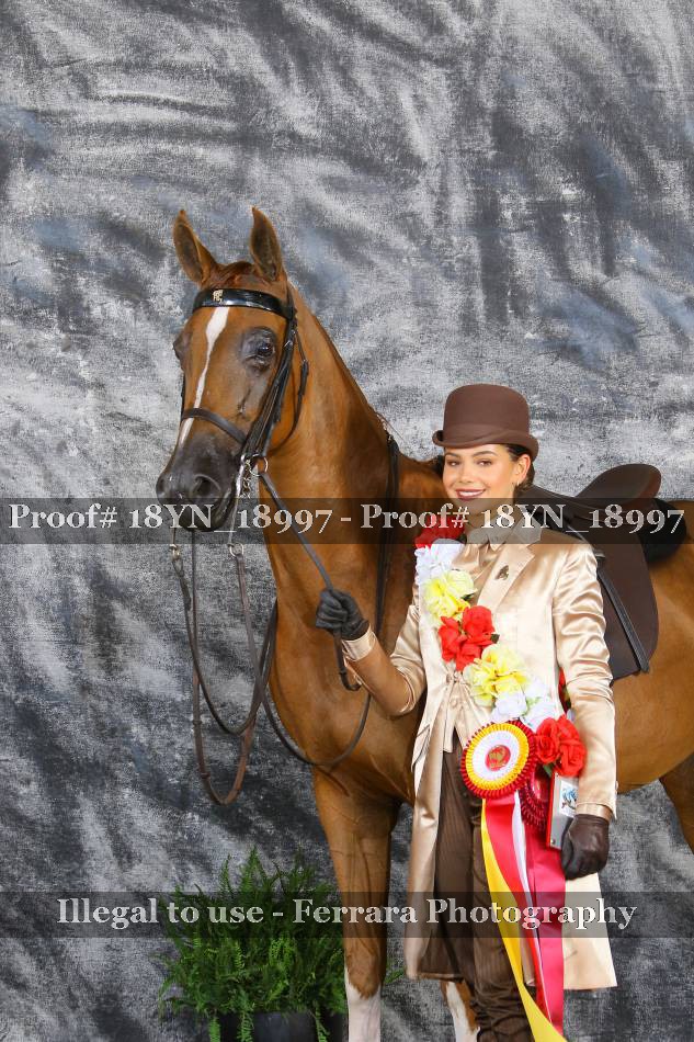 Proof 18YN_18997