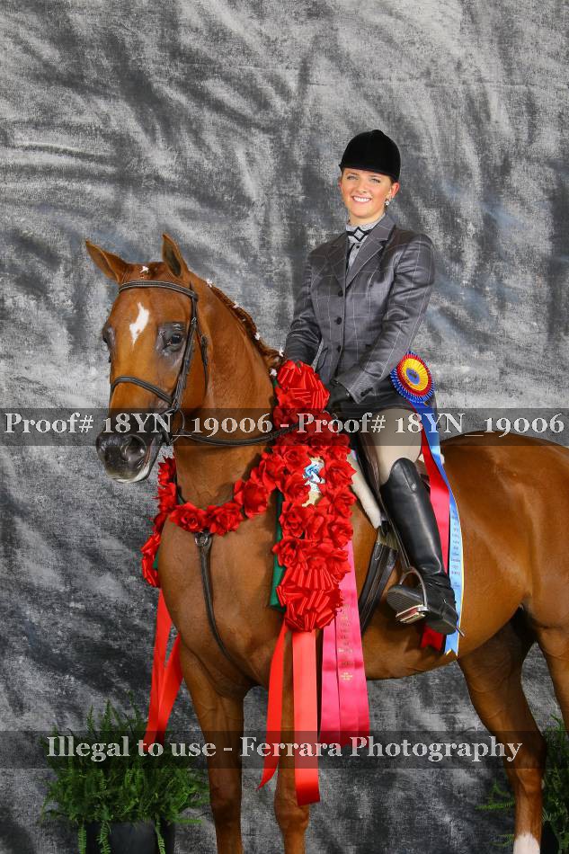 Proof 18YN_19006