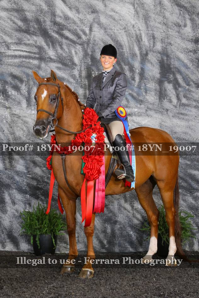 Proof 18YN_19007