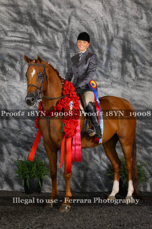 Proof 18YN_19008