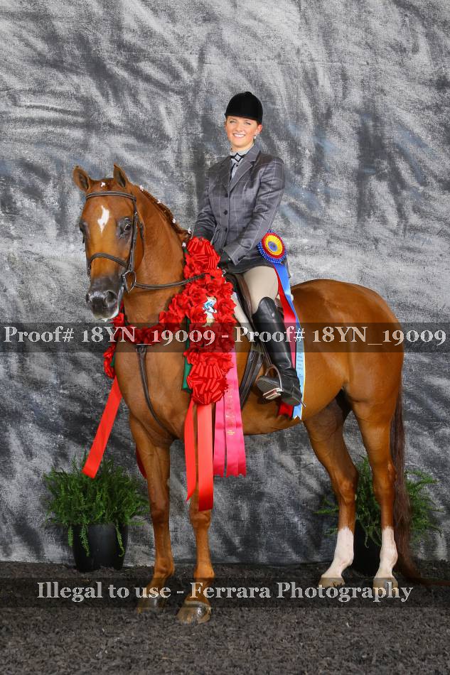 Proof 18YN_19009