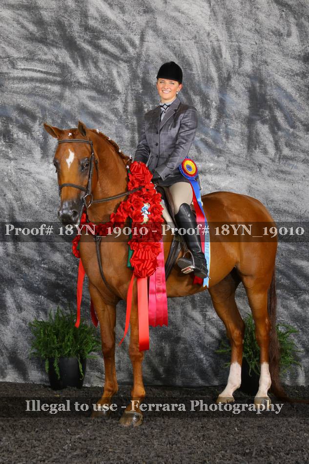 Proof 18YN_19010