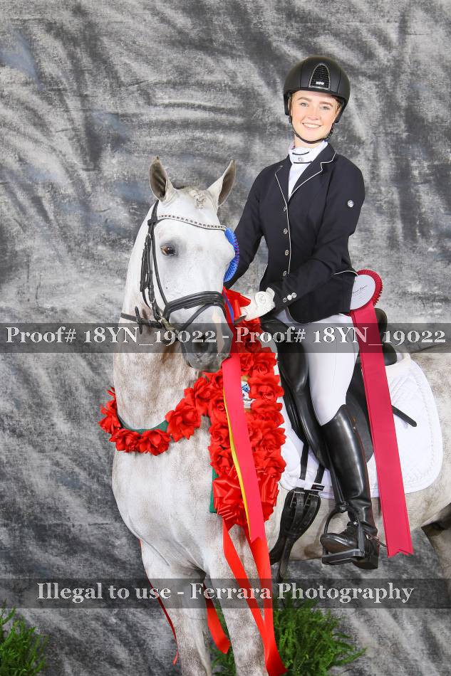 Proof 18YN_19022