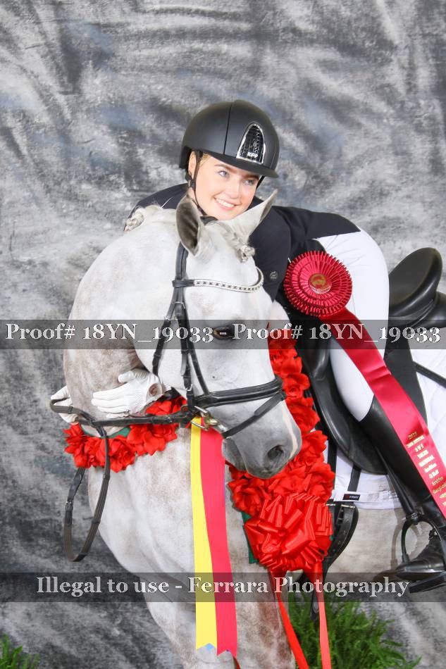 Proof 18YN_19033