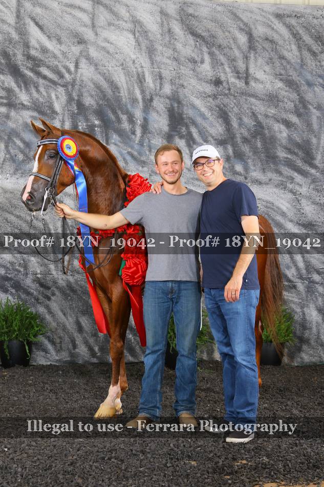 Proof 18YN_19042