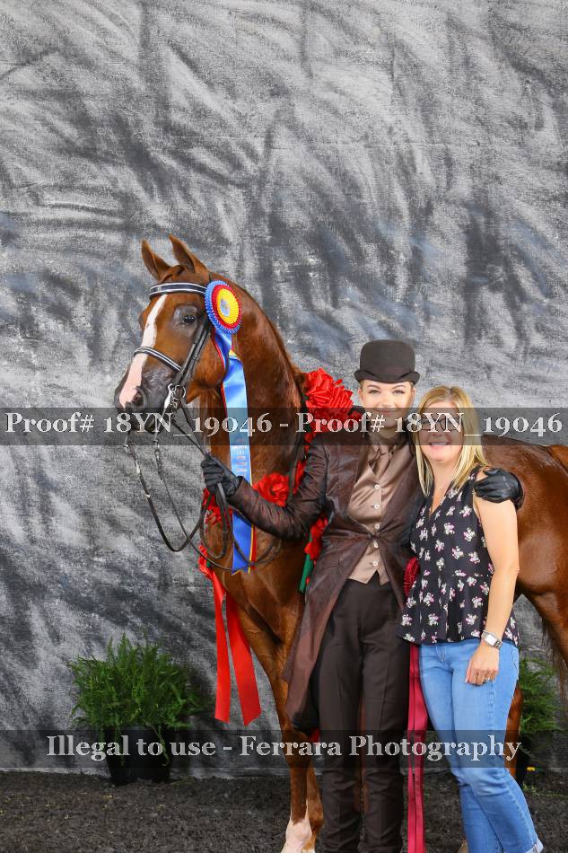 Proof 18YN_19046