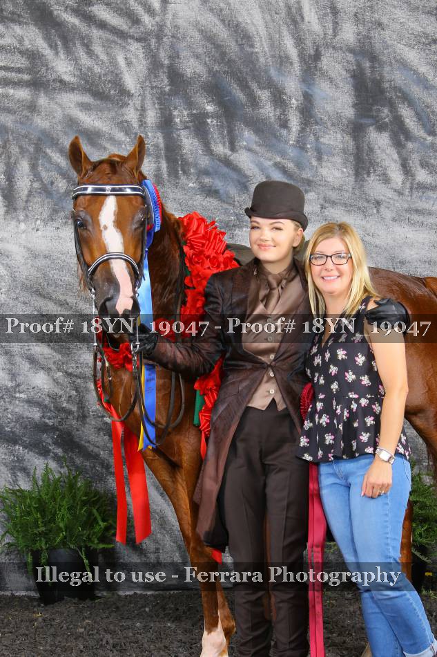 Proof 18YN_19047