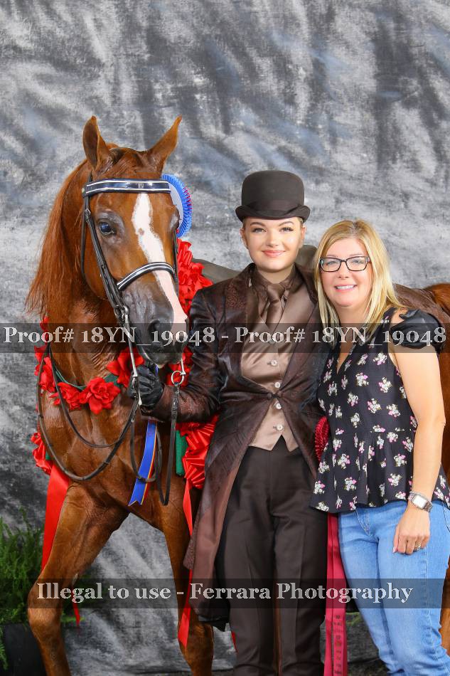 Proof 18YN_19048