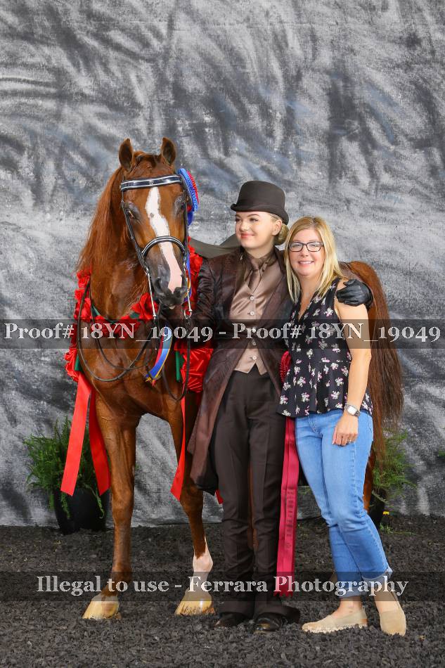 Proof 18YN_19049