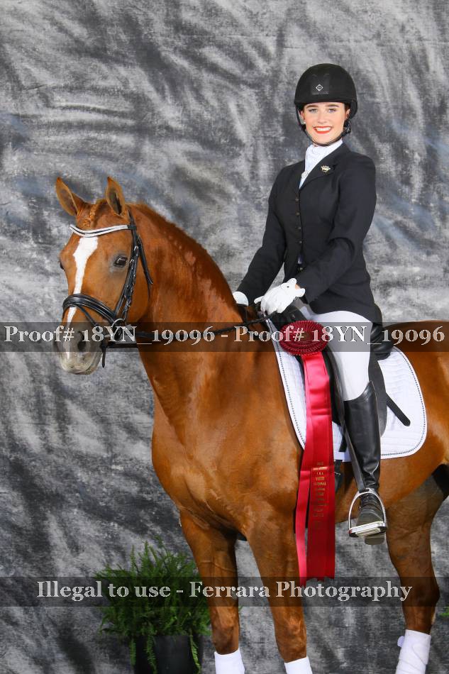 Proof 18YN_19096
