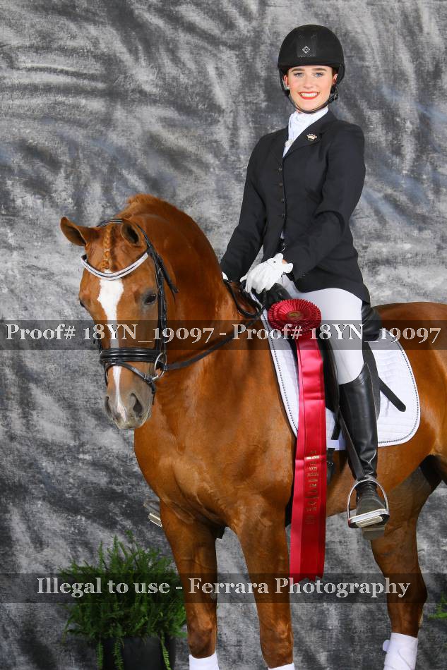Proof 18YN_19097