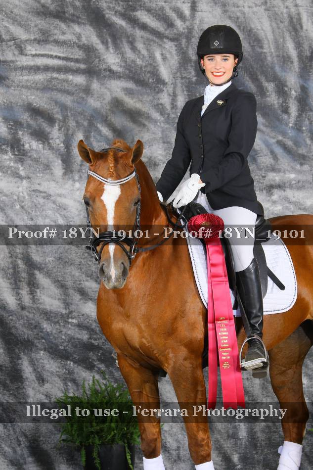 Proof 18YN_19101