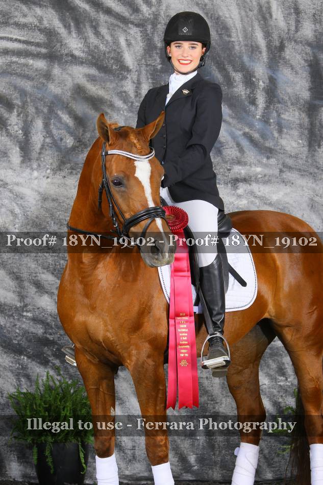 Proof 18YN_19102