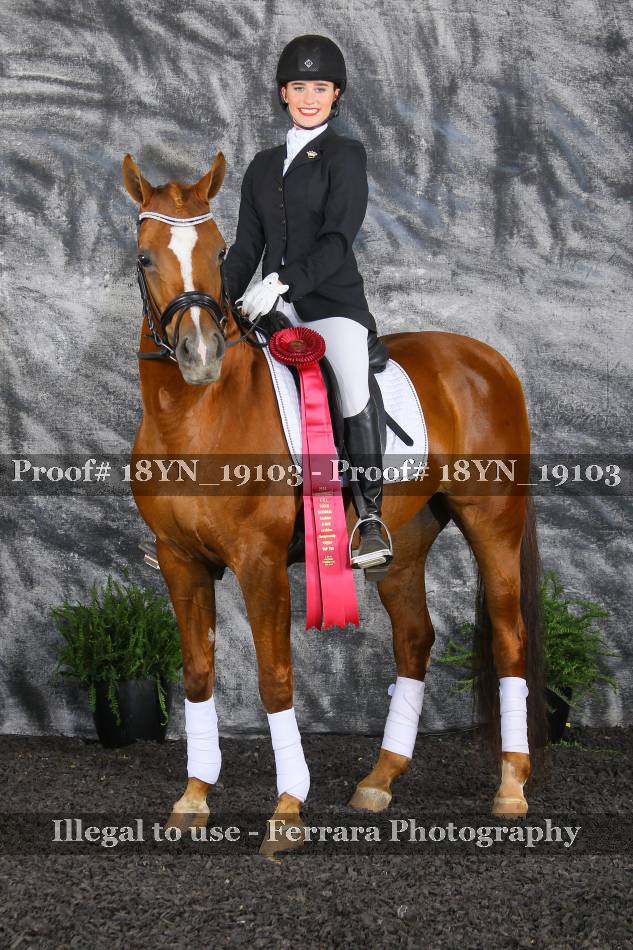 Proof 18YN_19103