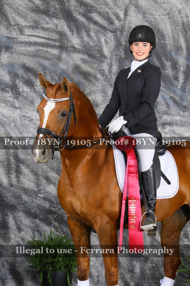 Proof 18YN_19105