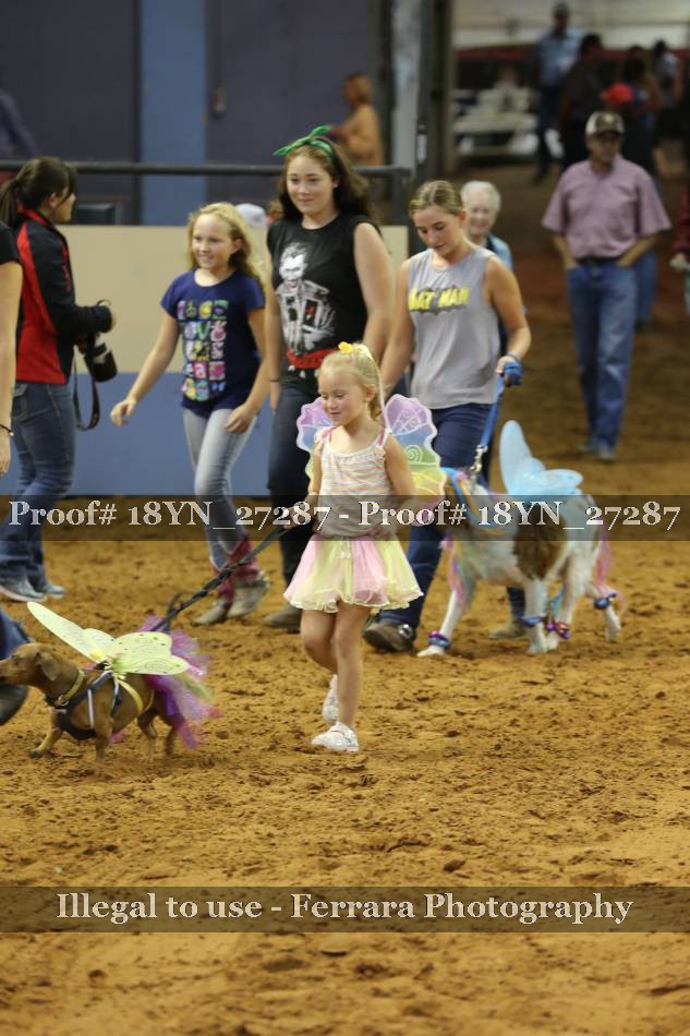 Proof 18YN_27287