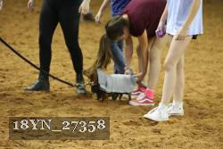 18YN_27358 proof