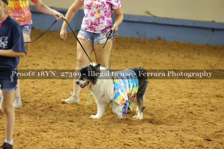 Proof 18YN_27399