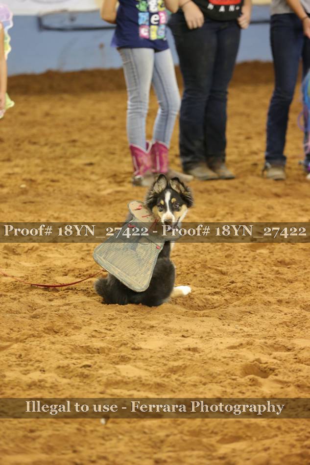 Proof 18YN_27422