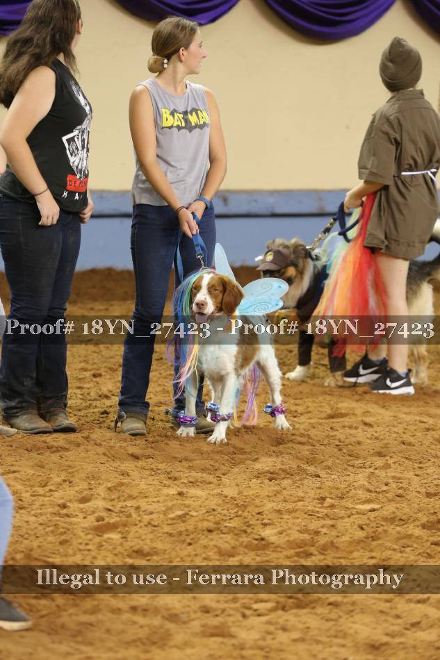 Proof 18YN_27423