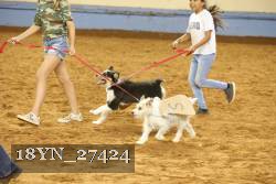 18YN_27424 proof