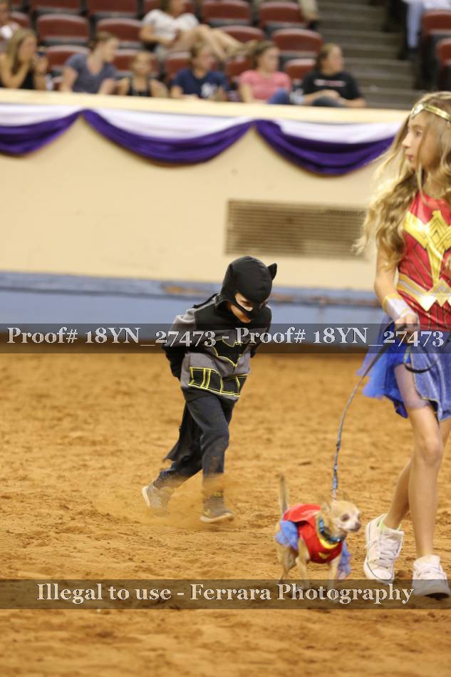 Proof 18YN_27473