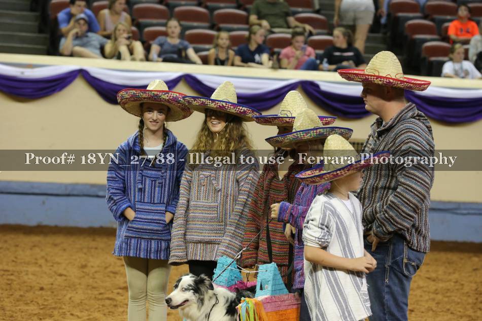 Proof 18YN_27788