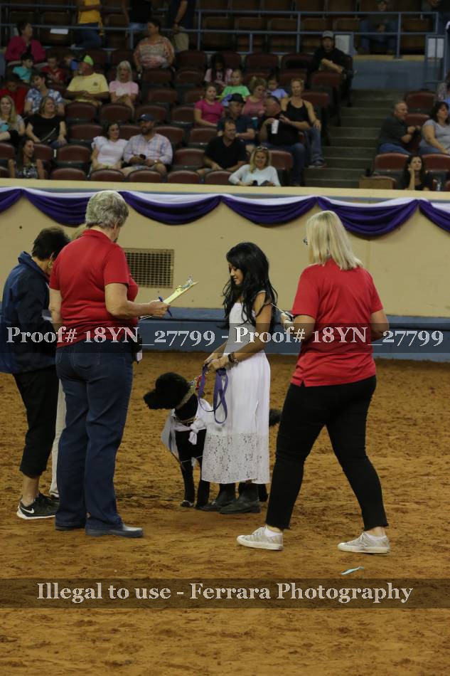 Proof 18YN_27799