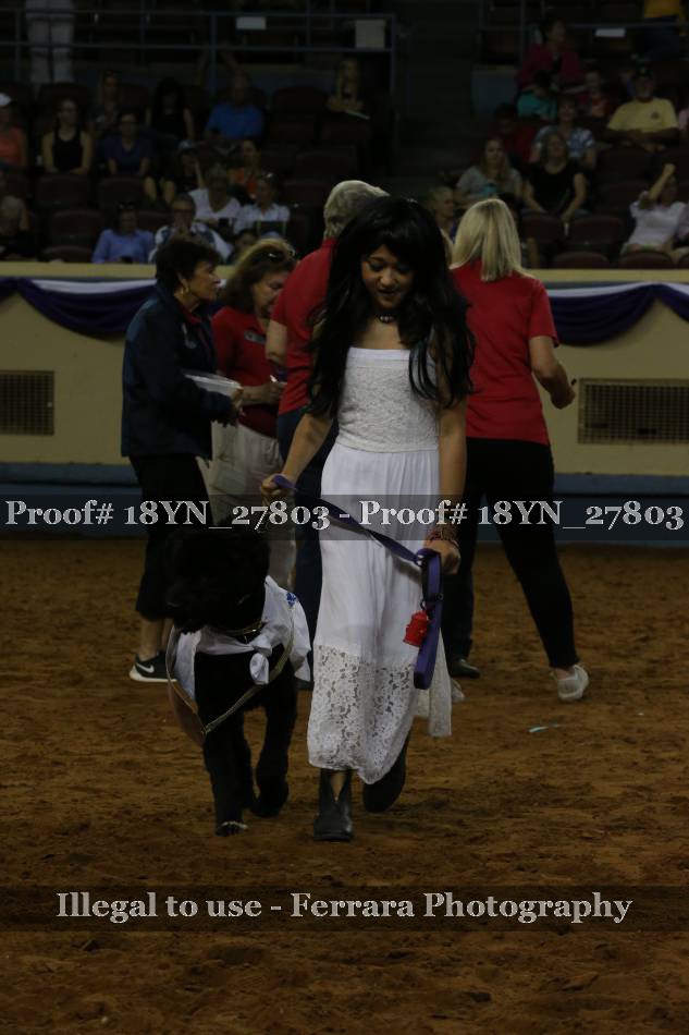 Proof 18YN_27803