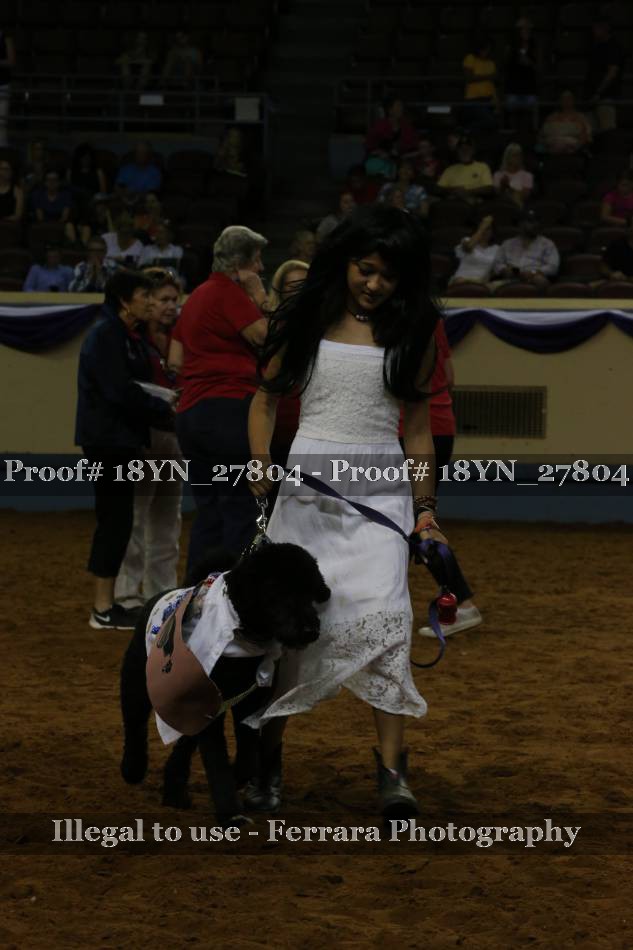 Proof 18YN_27804