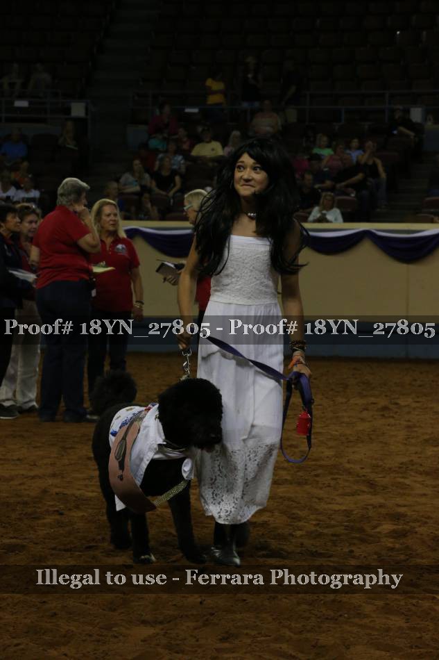 Proof 18YN_27805