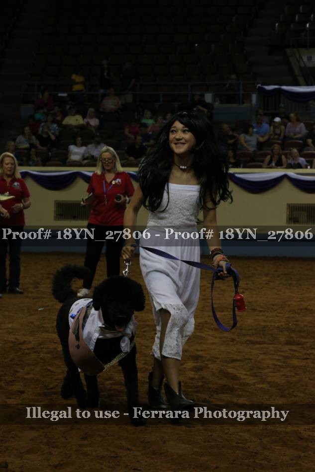 Proof 18YN_27806