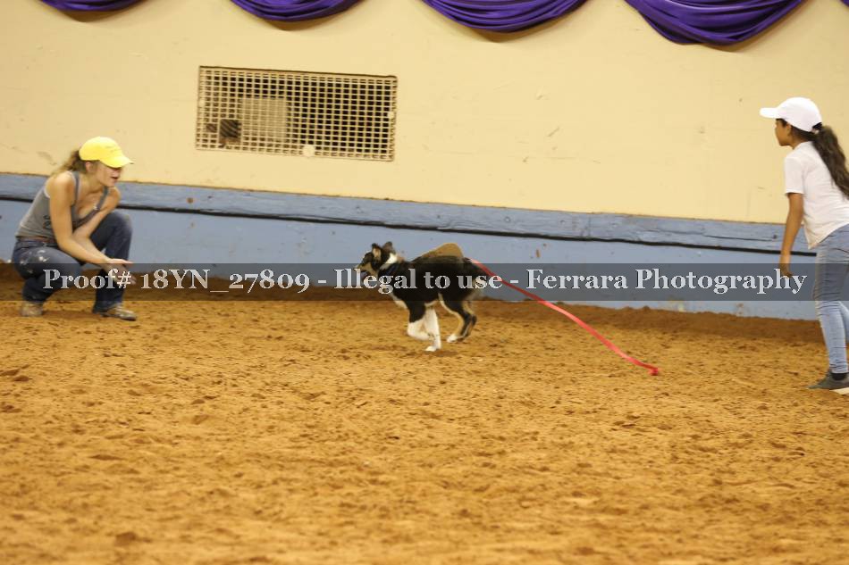 Proof 18YN_27809