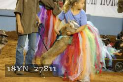 18YN_27811 proof