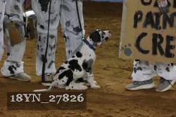 18YN_27826 proof