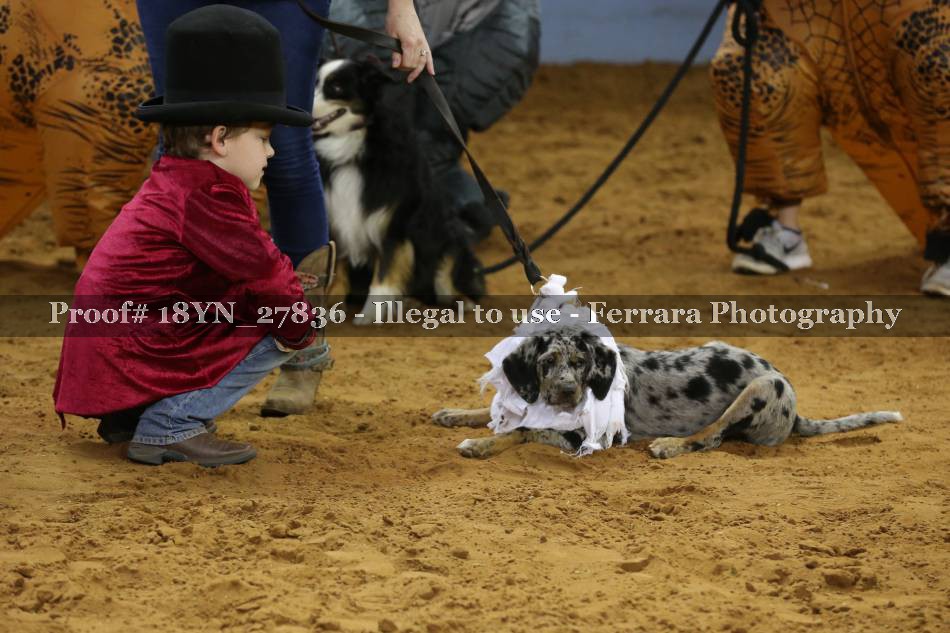 Proof 18YN_27836