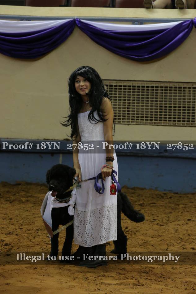 Proof 18YN_27852