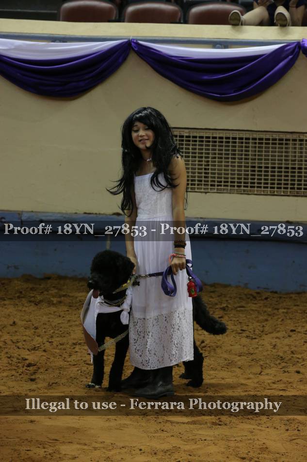 Proof 18YN_27853