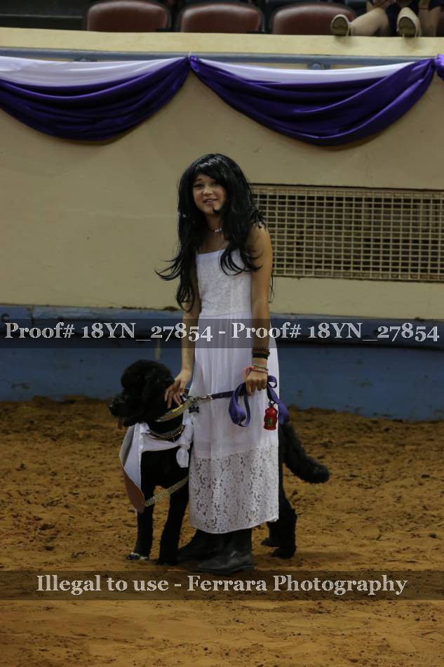 Proof 18YN_27854