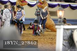 18YN_27862 proof