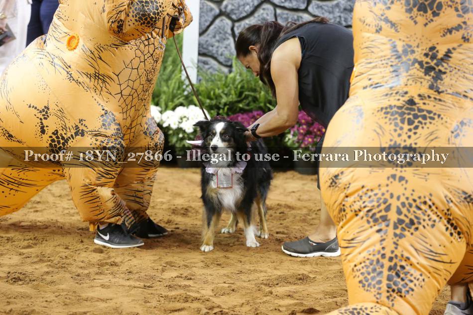 Proof 18YN_27866