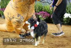 18YN_27869 proof