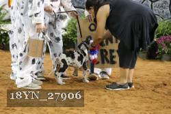 18YN_27906 proof