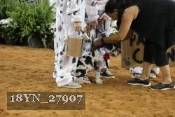 18YN_27907 proof