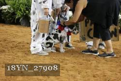 18YN_27908 proof