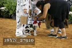 18YN_27910 proof