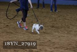 18YN_27919 proof